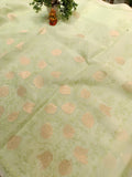 Floral Organza Saree | Banarasi Handwoven Organza Saree from Varanasi
