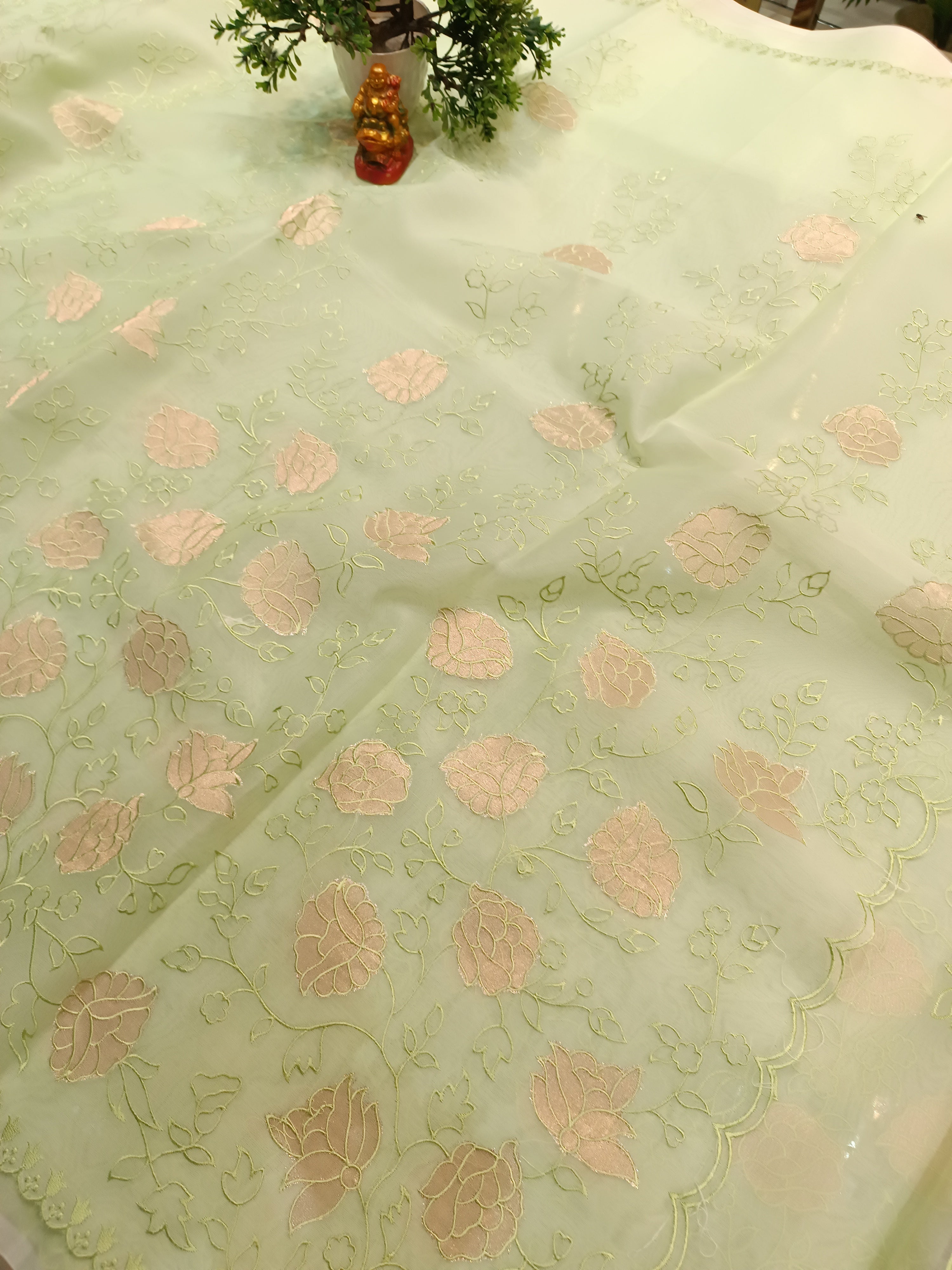 Floral Organza Saree | Banarasi Handwoven Organza Saree from Varanasi