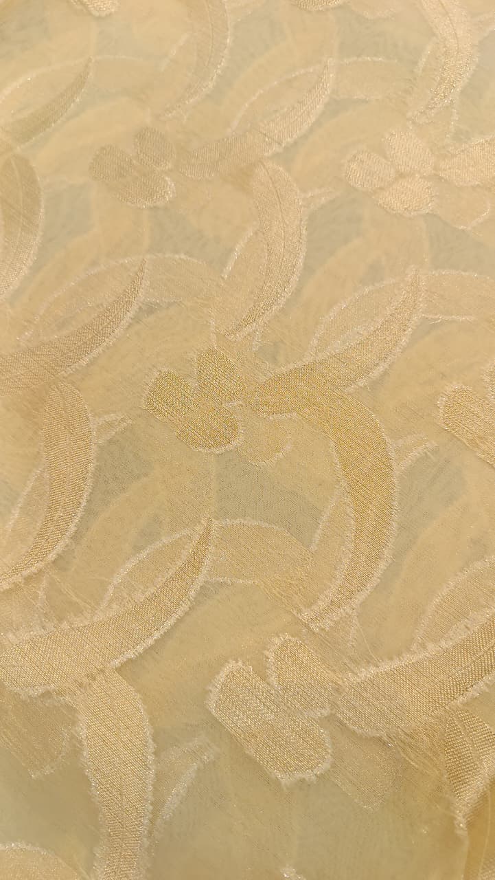 Cream Organza Saree with Heavy Embroidery Border | Manglam Banaras